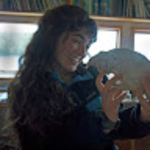 Meet your Posher, Rose